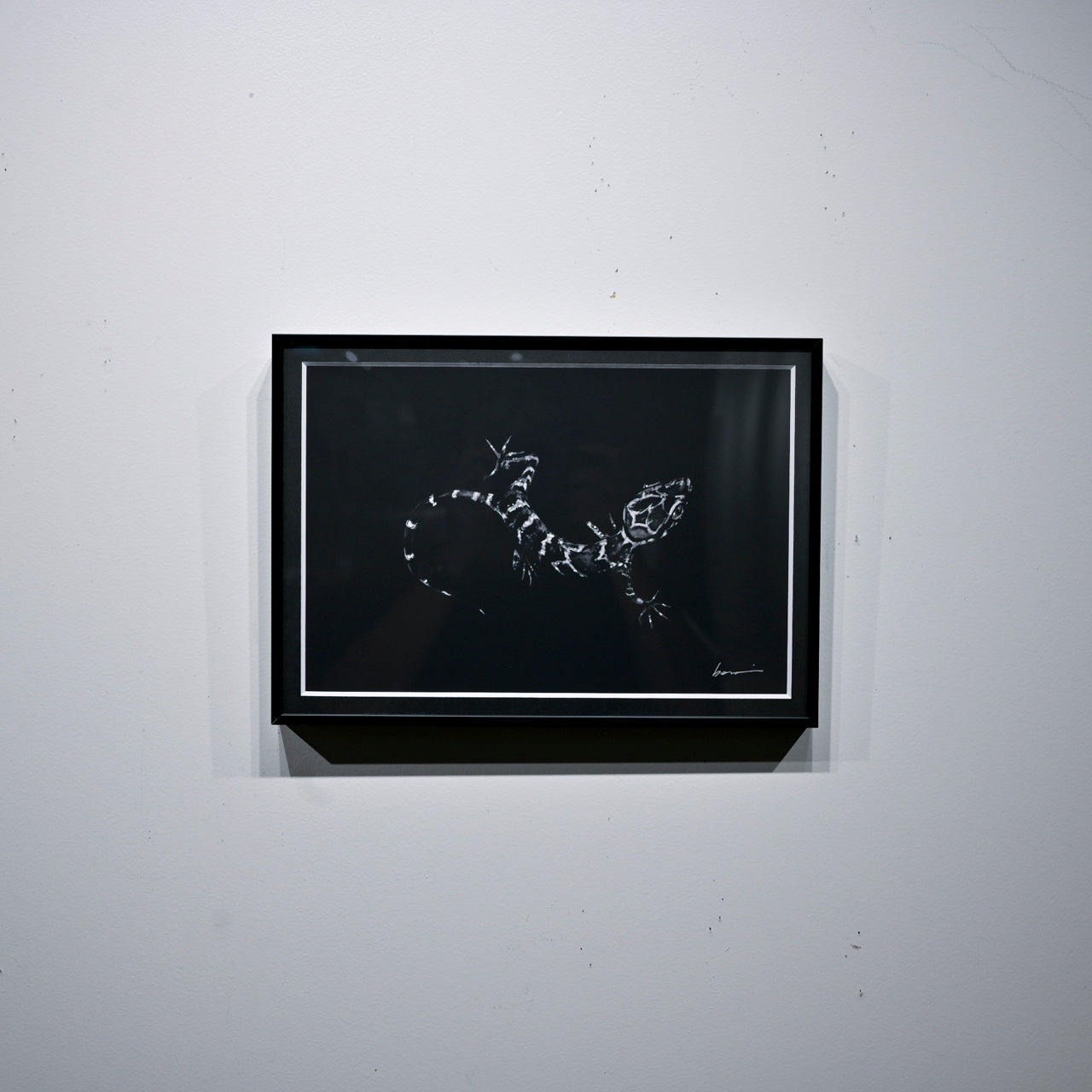 Art Print (Giclee) - REPTILE - A4