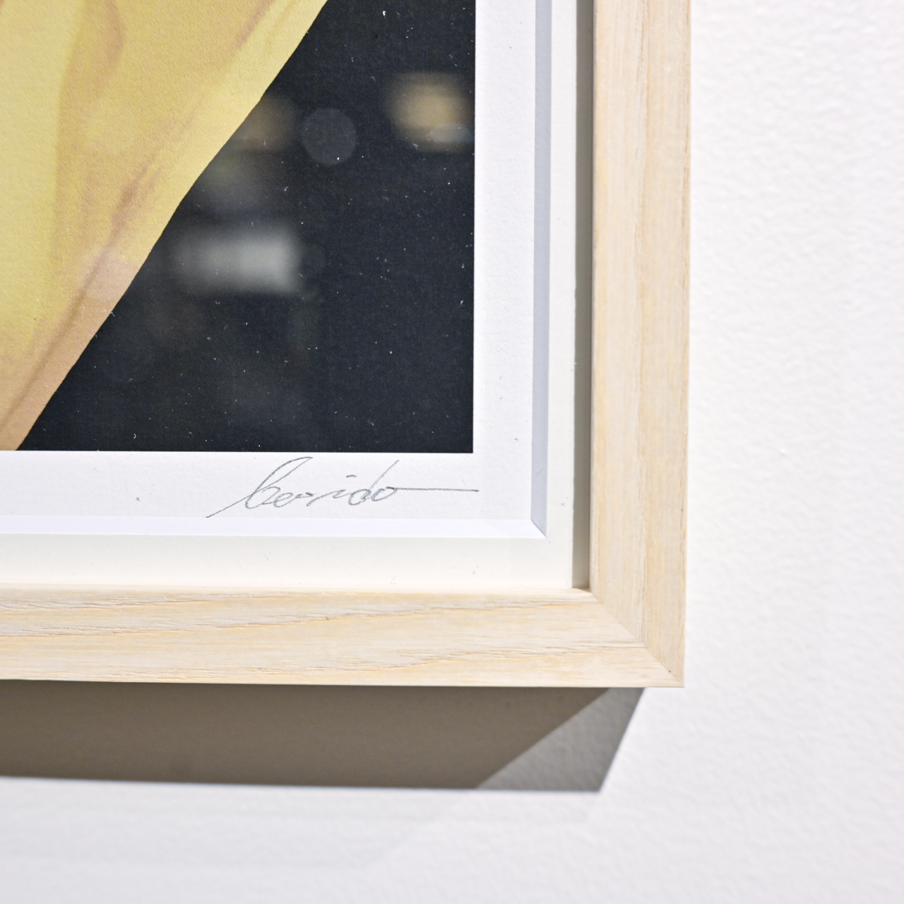 Art Print (Giclee) - Nightbouquet -