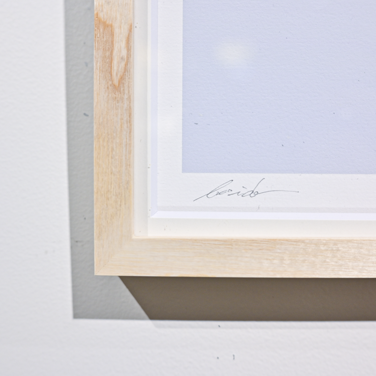 Art Print (Giclee) - Aster -