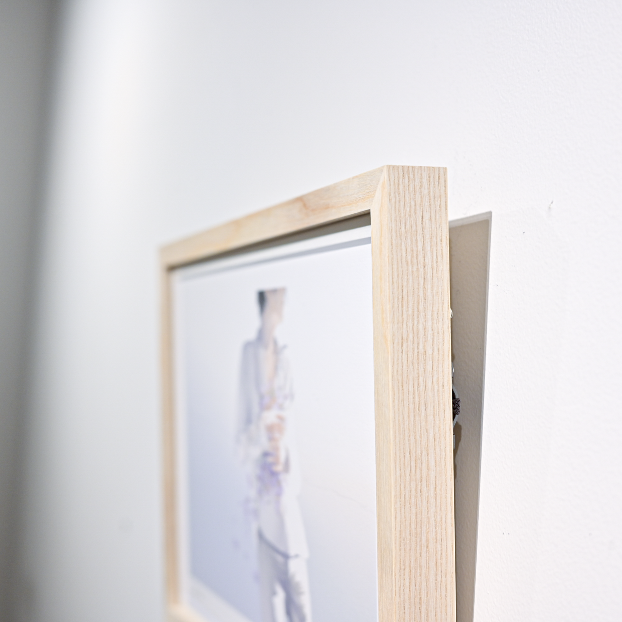 Art Print (Giclee) - Aster -