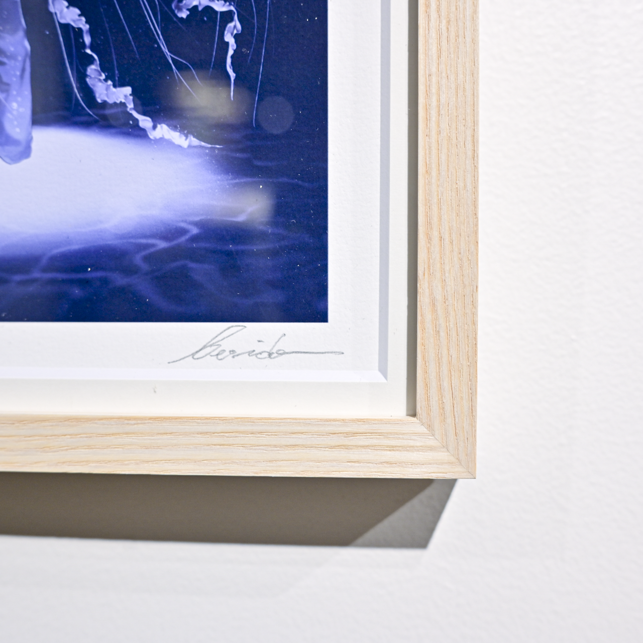 Art Print (Giclee) - Lantern -