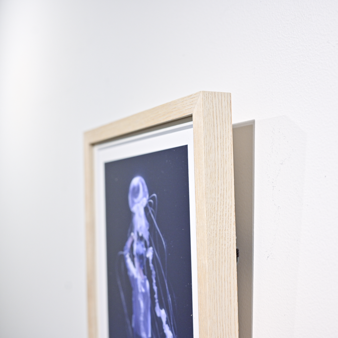 Art Print (Giclee) - Lantern -