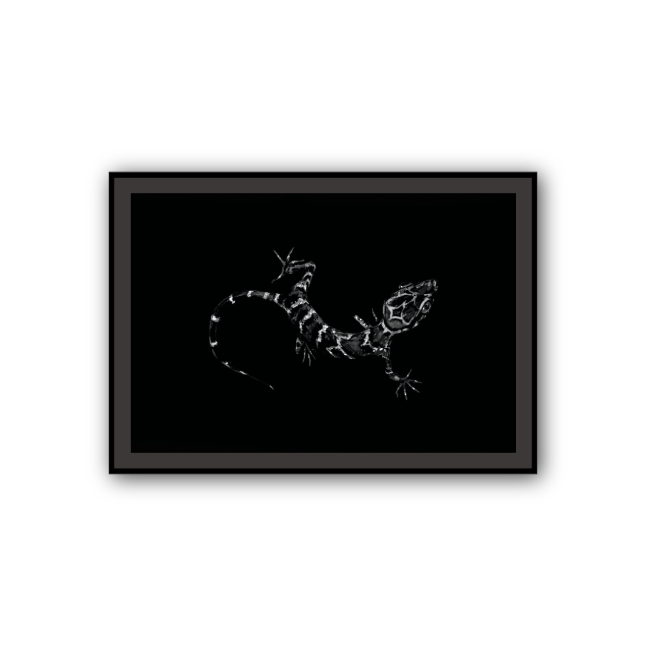 Art Print (Giclee) - REPTILE - A4