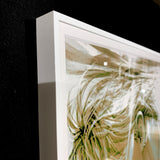 Art Print (Giclee) - sparkle - Deformed Size