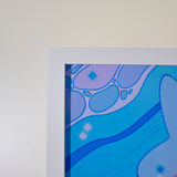 Framed Acrylic / UV Print - Mola mola - A4