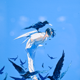 Art Print (Giclee)  - Takami no Kenbutsu -
