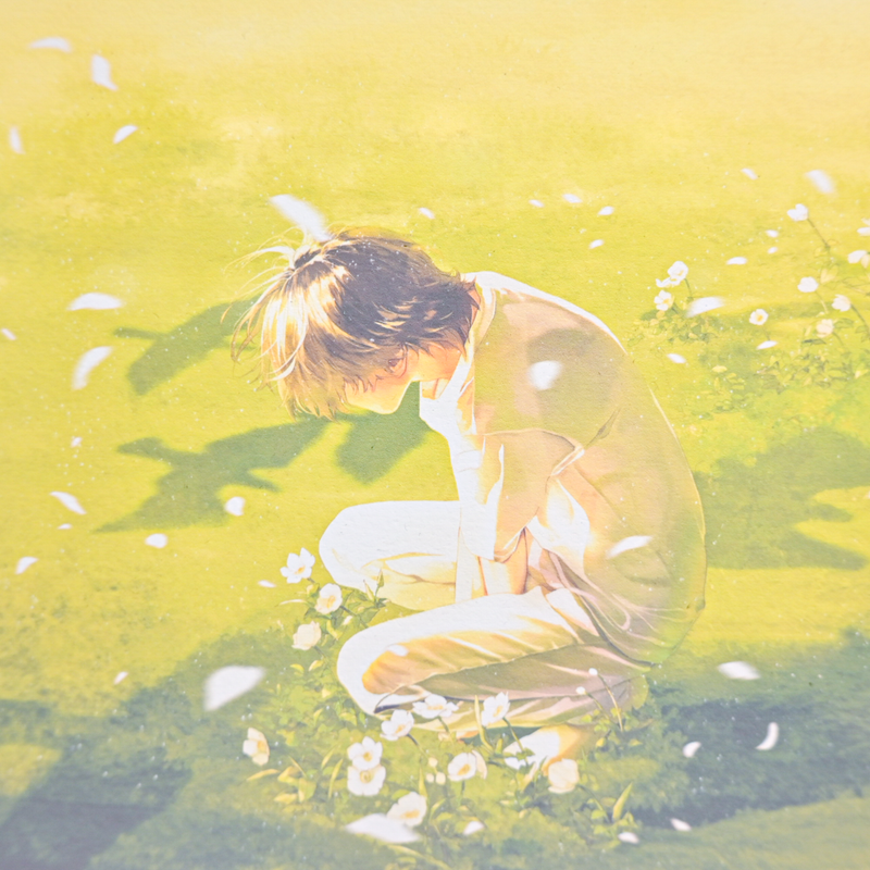 Art Print (Giclee)  - Tailwind -