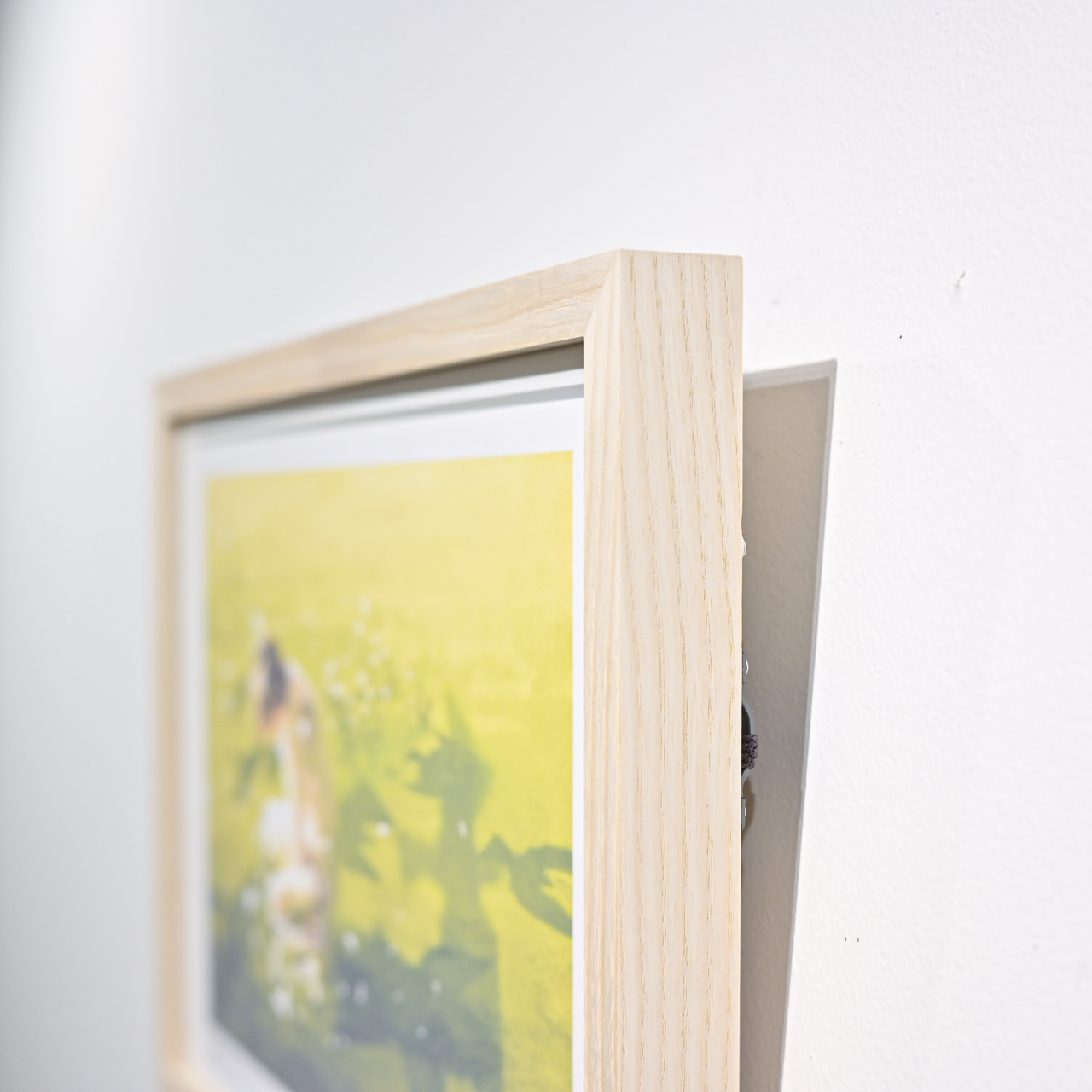 Art Print (Giclee)  - Tailwind -