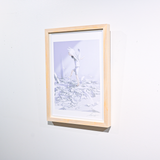 Art Print (Giclee)  - Mujyaki -