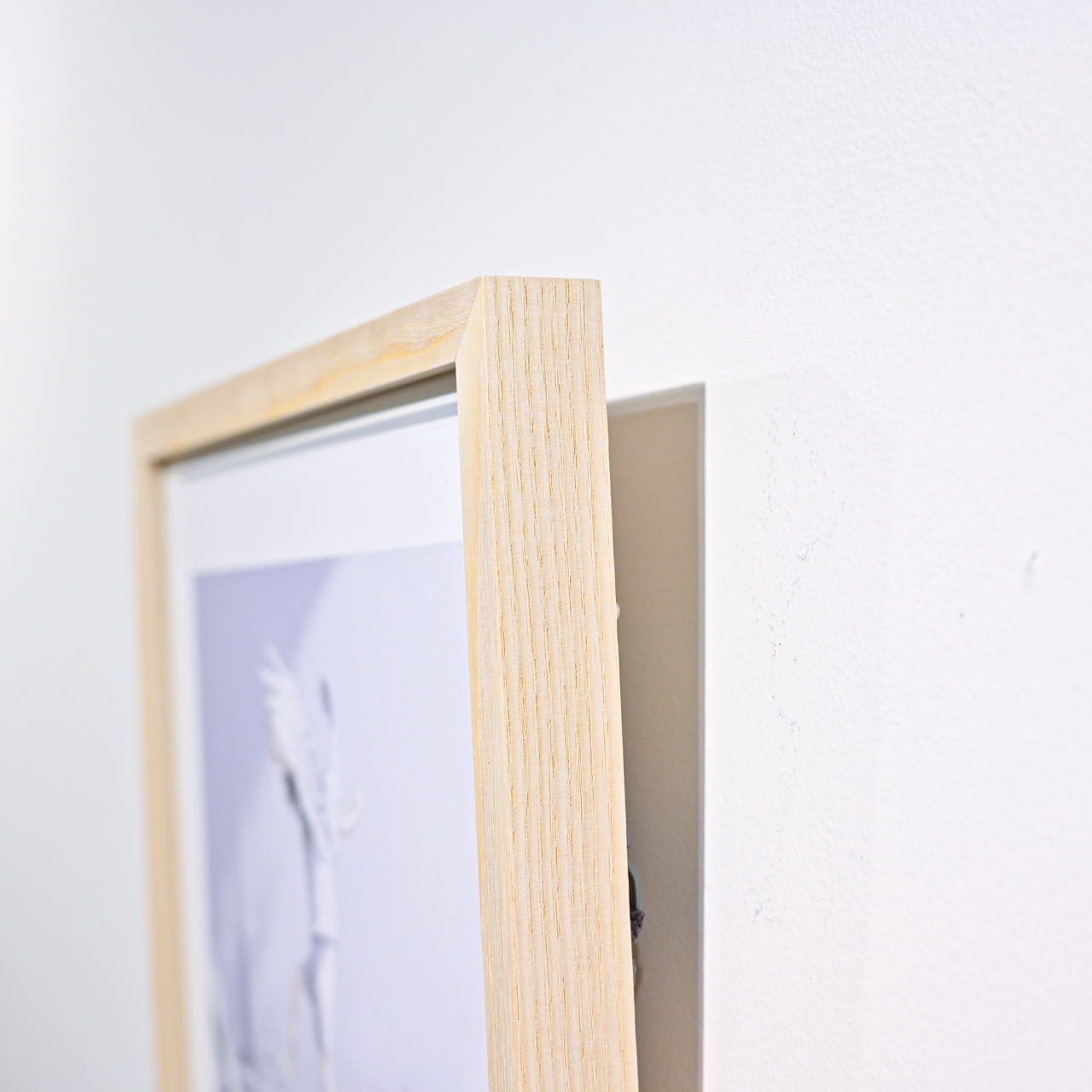 Art Print (Giclee)  - Mujyaki -