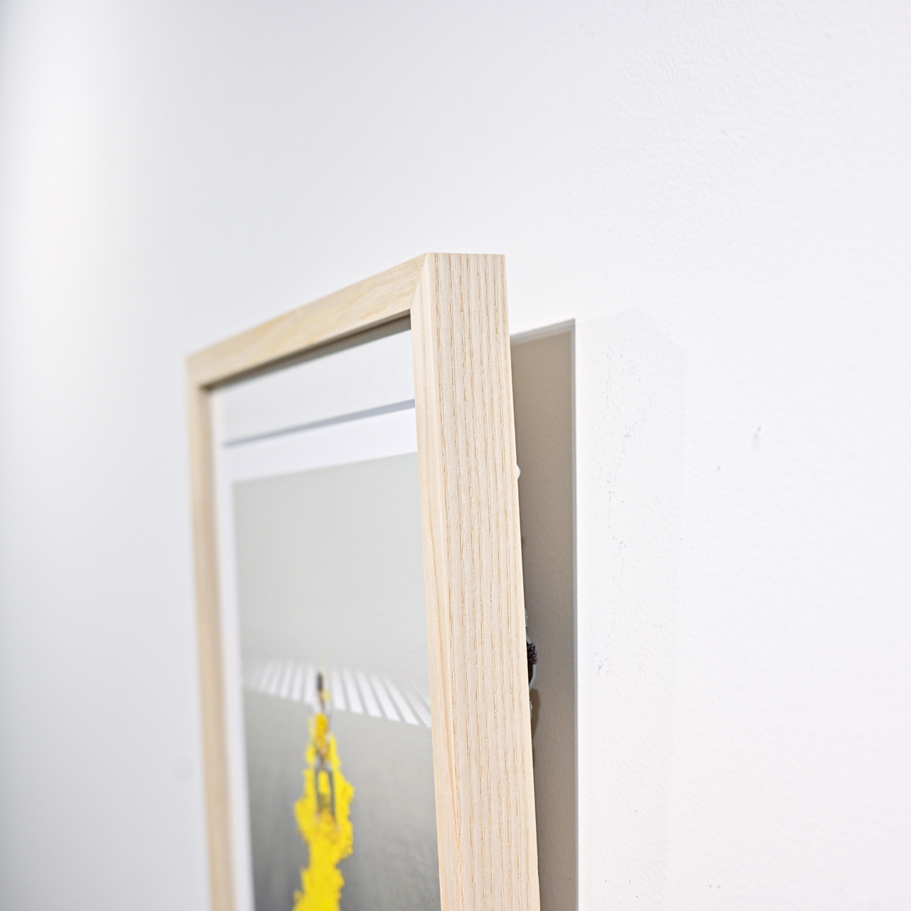 Art Print (Giclee)  - Marigold -