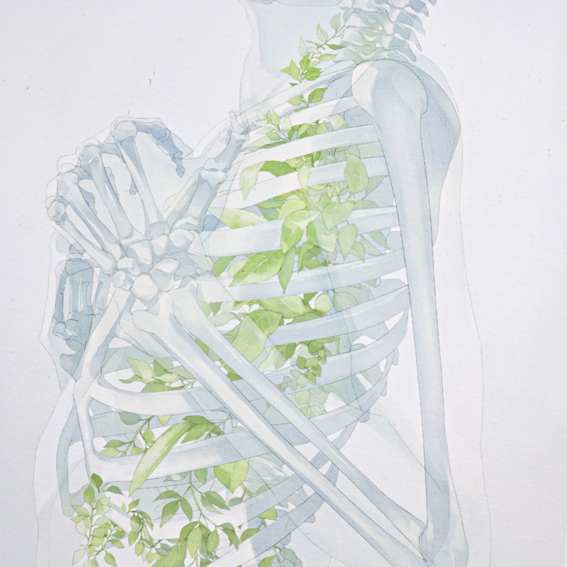 Art Print (Giclee)  - Kokyu -