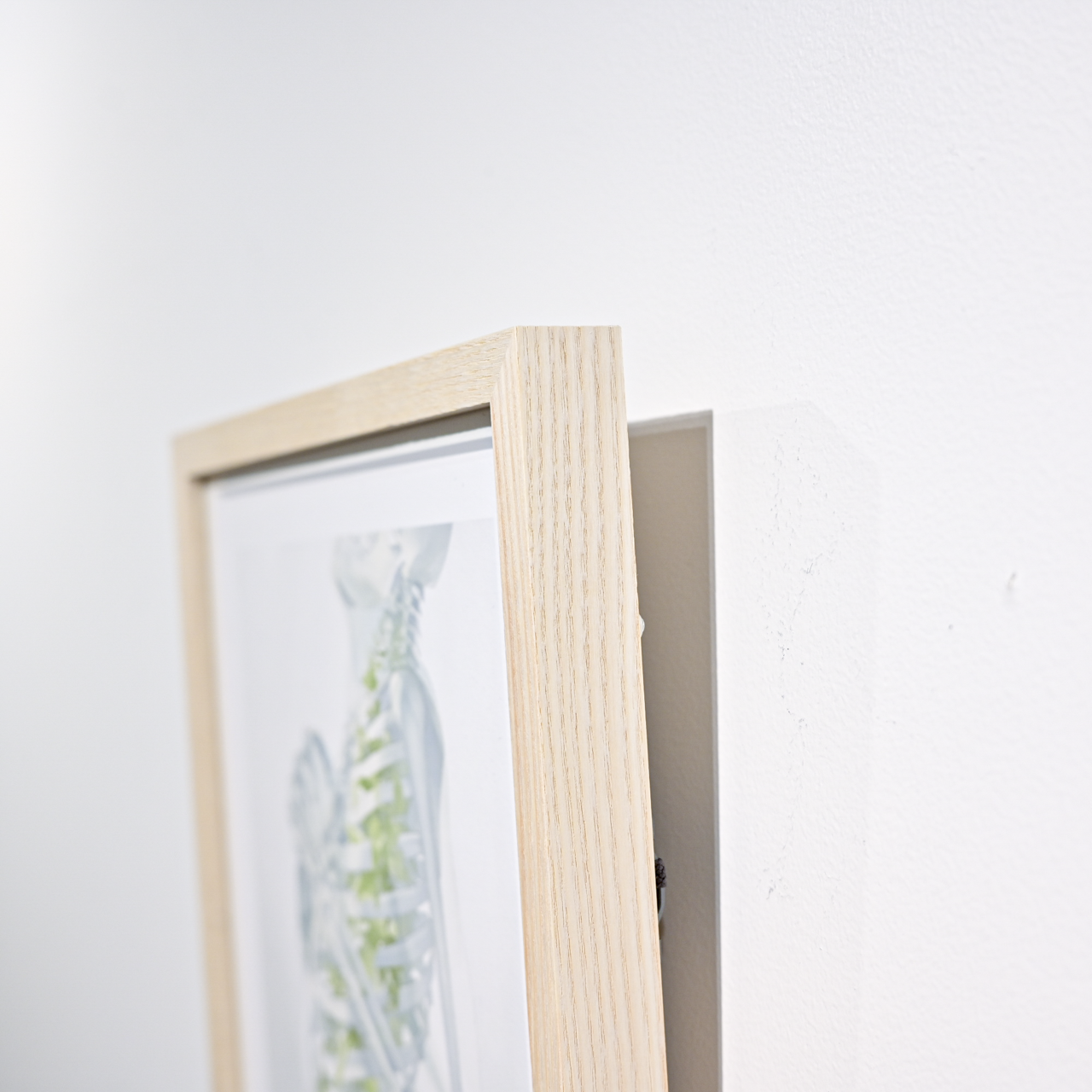 Art Print (Giclee)  - Kokyu -